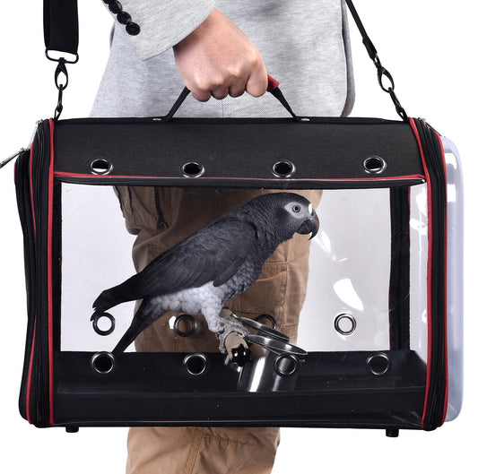Colorday Lightweight Bird Carrier for Travelers, Bird Travel Cage with Parrot Feeder Cups & Standing Perch and Tracy (Large 19 x 12 x 13 inch, Black)