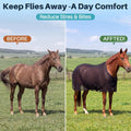 Breathable Mesh Horse Fly Sheet for Summer, Size 72 Black Lightweight Cover