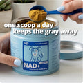 Taily NAD for Dogs – Daily Longevity Supplement – Supports Cellular Energy, Healthy Aging, Brain & Heart Function – Nicotinamide Riboside Precursor for Dogs – NAD+, Vet-Formulated, Made in USA
