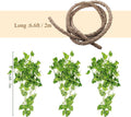 Canlierr 4 Pcs Reptile Vines Flexible Bendable Jungle Climbing Terrarium