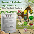Silver Lining Herbs Kidney Support Supplement for Horses - 1 lb