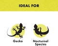 Zilla Incandescent Heat Lamp Bulbs, Night Black for Nocturnal Reptiles