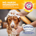 Arm & Hammer for Pets 5-in-1 Dog Shampoo with Conditioner, Deodorizing Oatmeal Dog Shampoo with Aloe, Shea Butter, Baking Soda and Coat Care, Vanilla Sandalwood Scent, 20 Fl Oz