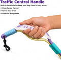 EffiBrill Hands Free Dog Leash Dual Handle, Wearable Leashes for Dogs, Padded Waist Belts and Rotating Metal Clip, for Medium and Large Dogs Walking Training Running, 6.5FT, Purple-Green