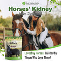 Silver Lining Herbs Kidney Support Supplement for Horses - 1 lb