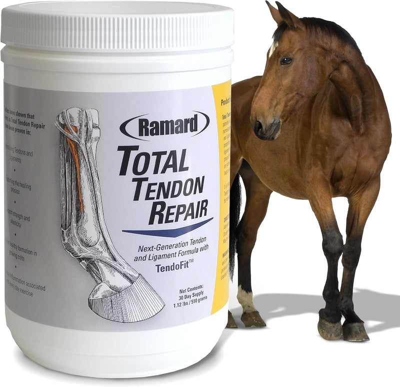 Ramard Total Tendon Repair –Advanced Powder Supplement with Vitamin C, Collagen, and MSM for Horse Joint, Ligament, and 