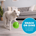 Outward Hound by Planet Dog Snoop Dog Toy – Treat‑Dispenser Puzzle Ball, Interactive Slow Feeder, Medium to Large Dogs, Bouncy & Mint-Infused, Blue, 5"