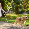 Mile High Life Dog Leash Braided Cotton Rope with Leather-Reinforced Ends