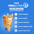 IAMS Healthy Enjoyment Dry Cat Food, Chicken & Salmon Recipe, 3 lb