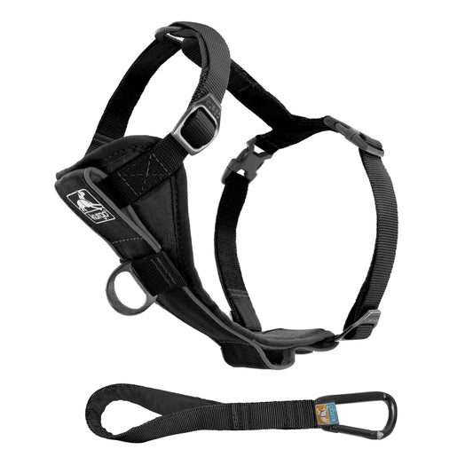 Kurgo Tru-Fit Smart Dog Walking Harness - Comfortable Fit - Adjustable Harness - Reflective Pet Wear - Quick Strap Release - Daily Walk Accessory - Includes Seat Belt Loop - Black - Large
