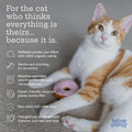 P.L.A.Y. PET Lifestyle and You Feline Frenzy Kitty Kreme Doughnuts Plush Squeaky CAT Toy