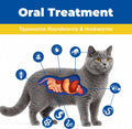Broad-Spectrum Dewormer - (pyrantel pamoate/praziquantel) Tablets for Cats & Dogs (2 to 20 lbs)