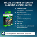 Fritz Aquatics ParaCleanse Provides Fast Relief from Parasitic Diseases (20-Count)