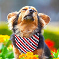 4th of July Dog Bandana Reversible 2 Pack Small, Red White and Blue Dog Paw Star Patriotic Dogs Bandanas Set Adjustable Triangle Holiday Scarves for Memorial Day Small Medium Boy Girl Dogs