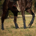 Harrison Howard 4-Pack Horse Sport Boots, Protective Horse Boots