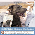 All American Canine Dog Weight Gainer – High Calorie Dog Food Supplement & Protein Powder for Rapid Weight Gain, Mass, and Recovery – Appetite Stimulant – 60 Servings