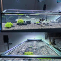 Retractable Fish Tank Hoods 30 * 12 or 24 * 12in Fish Tank Lid Anti-Jump Aquarium Lid for 29/20 Gallon fishs Tanks Preve