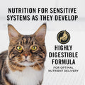 Purina Pro Plan Sensitive Skin & Stomach Dry Cat Food, Salmon, 7 lb Bag