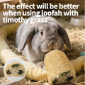 BESNEW 3 PCS Rabbit Chew Toys,100% Natural Loofah Without Additives,Bunny Chew Toys for Teeth,Fiber-Rich Rabbit Treats f