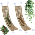 2 Pcs Bearded Dragon Hammock Reptile Lounger, Natural Seagrass Climbing Habitat Decor with Jungle Theme for Lizards, Gec