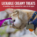 Nulo Freestyle Lickable Cat Treats - Perfect Purées Variety Pack, Squeezable Grain-Free Wet Cat Food Topper, High Moisture for Hydration, 40 x 0.5oz