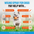 Silver Dog Wound Spray Helps with Hot Spots, Irritations, Bites, Burns, Rashes, Itch, Scratching – Better Use with a Dog Cone to Stop Licking – Safe for Large and Small Breeds – 4 oz