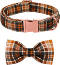 Lionet Paws Halloween Dog Collar with Bowtie - Cute Cotton Adjustable Fall Bowtie Dog Collar with Metal Buckle for Small