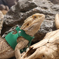 3 Pack Bearded Dragon Leash and Harness Set 3 Size Adjustable Lizard Harness Bearded Dragon Outfits for Reptile Small An
