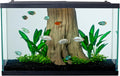 Tetra 29 Gallon Glass Aquarium, Rectangular Fish Tank
