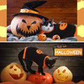 Sanwuta 3 Pcs Halloween Thanksgiving Christmas Dog Kint Sweaters Sets, S