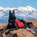 Kurgo Big Baxter Dog Backpack, Dog Saddlebag, Dog Pack, Adjustable Saddlebag for Hiking, Walking, Running, Camping, Chili Red/Barn Red