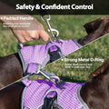 Huntboo Escape Proof Dog Harness, Dachshund Harness, Reflective Dog Harness with Handle, Durable,Adjustable Vest for Sma