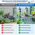 Turtle Basking Platform with Ramp & Food Tray, Adjustable Height