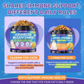 Taurine for Cats Vitamins Treats, 18 in 1 Cat Multivitamins Treats 500 Crunchy & Krill Chews Cat Vitamins with Taurine Supplements for Heart Vision Immune Digestion Skin & Coat Support for All Ages