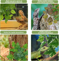 PINVNBY Reptile Terrarium Plants Hanging Artificial Lizards Habitat Climbing Decorations with Suction Cup Pets Tank Fake