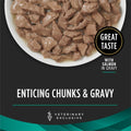 Pro Plan Veterinary Diets Purina EN Gastroenteric Feline Formulas Savory Selects in Sauce with Salmon Wet Cat Food - (Pack of 24) 5.5 oz. Cans