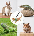 3 Pack Bearded Dragon Leash Set, Adjustable Leopard Gecko Leash for Small Reptile Walking Training(S, M, L)