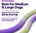 Hands Free Dog Leash, Double Handle Leash 5.5FT Purple-Green