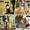 3 Pack Collapsible Dog Bowls,2 Pet Bowls with 1 Pet Poop Bag Dispenser Set,Portable Silicone Travel Dog Bowls for Walkin