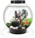 biOrb Classic 15 Acrylic 4-Gallon Aquarium with White LED Lights Modern Compact Tank for Tabletop or Desktop Display, Bl