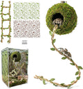 Magnetic Jumping Spider Accessories-Moss Hideout with Rope & Bridge