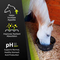 GastroMend® Digestive Support for Horses, 60 Doses