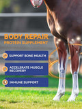100-Day Supply Equine Body Repair Protein Supplement-Amino Acids Speed up Muscle Recovery After Exercise Promote Healthi