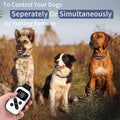 PetJoy Shock Collar for 3 Dogs, Bark & Training Collar Combo