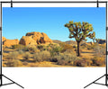 Desert Reptile Tank Background Joshua Tree Rocks Desert Terrarium Background Desert Landscape Reptile Terrarium Backgrou