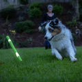 Chuckit! Ultra Fetch Stick Interactive Dog Toy, 12in, 2 Pack