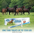 12 Pack Ivermectin Horse Paste 1.87% – Apple Flavored Oral Dewormer for Horses