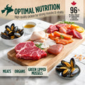 ZEAL Canada Air-Dried Salmon & Duck Recipe for Dogs - Superfood Omega-3 Rich, Dual-Protein, Grain Free, No Fillers, Comp