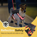 Adjustable Dog Backpack Harness with Reflective Leash, Backpack for Small Dogs, Built in Poop Bag Dispenser, Detachable 