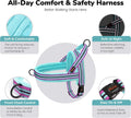 Didog No Pull Dog Harness for Small Dogs, Soft Flannel Padded,Mixed-Blue,XS
